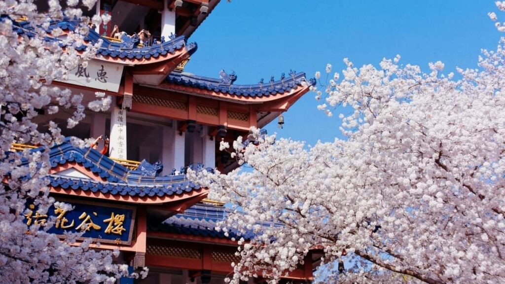 How Twitter Influencers in Nigeria Find Japan Brands Collaboration in 2025