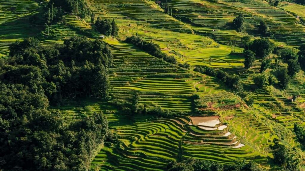 Top 10 Pinterest Influencers You Should Collaborate With in China