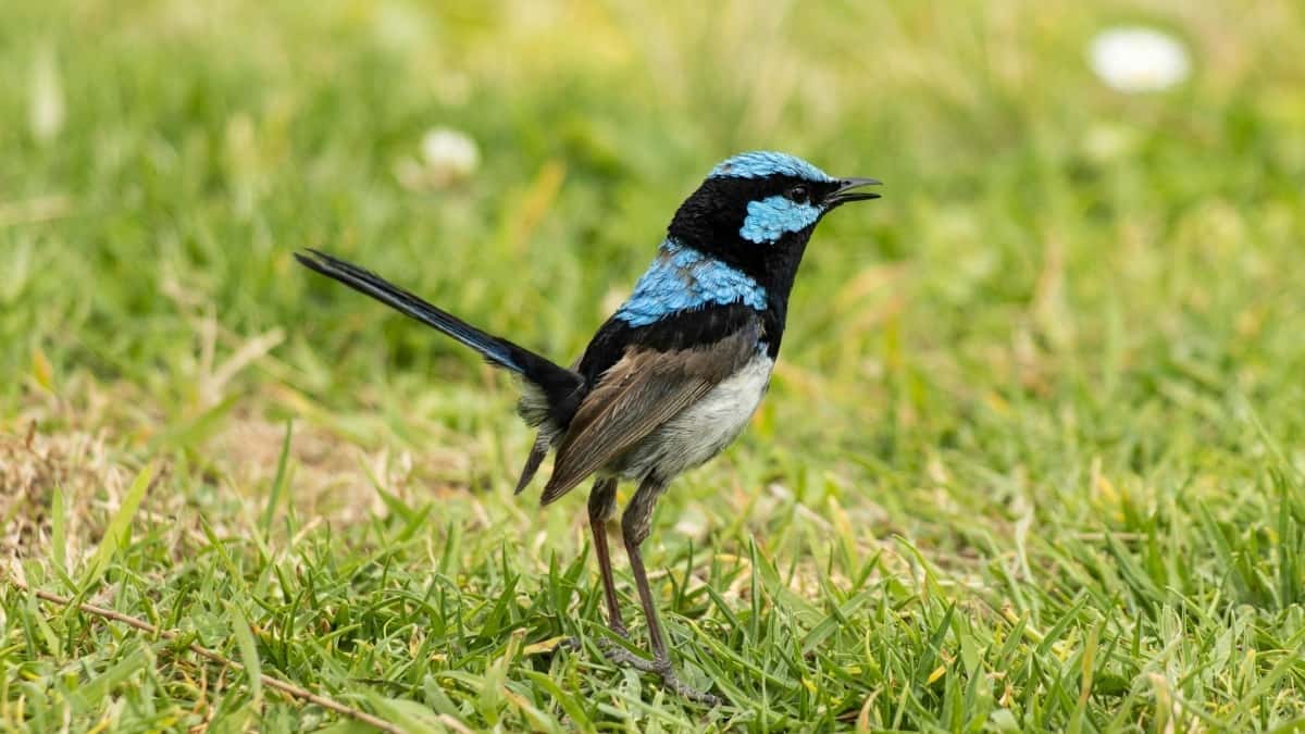 Top 10 Twitter Influencers You Should Collaborate With in Malaysia