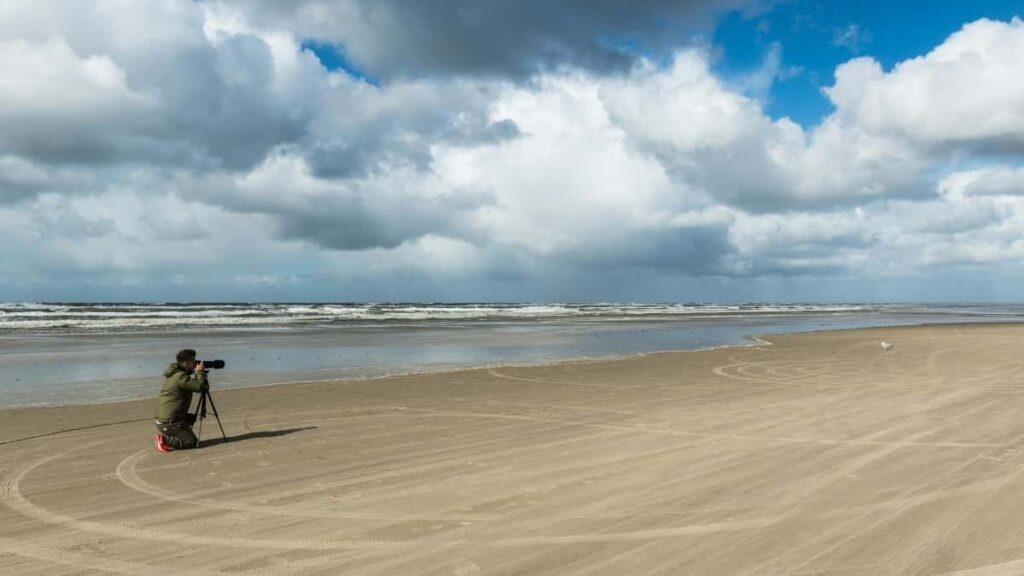 Practical guide for Nigerian advertisers on sourcing Dominican Republic SoundCloud creators and turning their followers into paying customers step-by-step tactics, outreach scripts, and measurement tips.