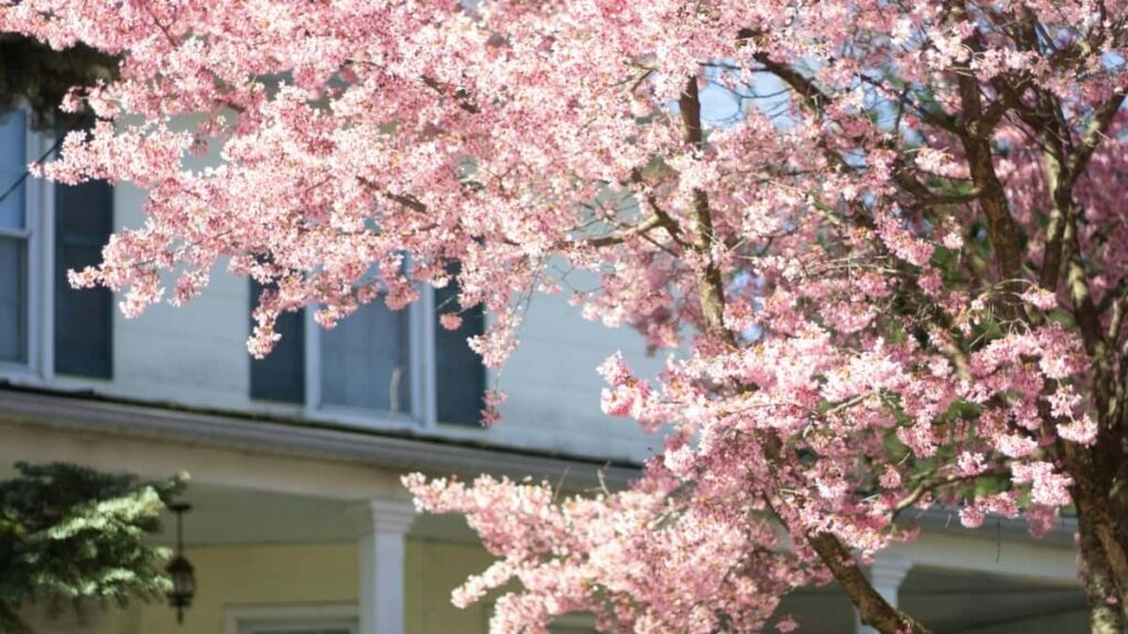 Practical step-by-step guide for Nigerian creators to find, pitch and partner with Laos sellers on Etsy for song reaction videos outreach scripts, pricing tips, and platform workarounds.