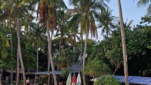 Practical guide for Nigerian advertisers on finding Indonesia Apple Music creators to push fitness appslocal tactics, outreach scripts, platform tips and compliance notes.