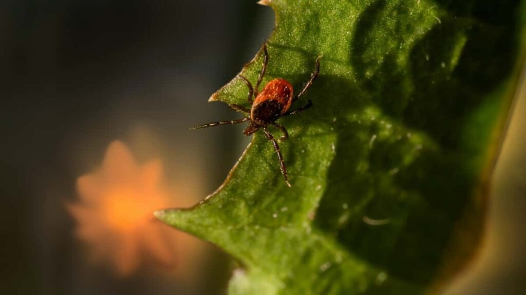 Step-by-step guide for Nigerian creators to reach Philippine brands on Taobao, secure sponsor-tagged event coverage, and close cross-border collaborations.