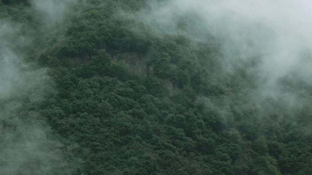 Practical playbook for Nigerian creators who want to pitch Montenegro brands via Zalo research, localisation, outreach templates, safety checks and negotiation tips.