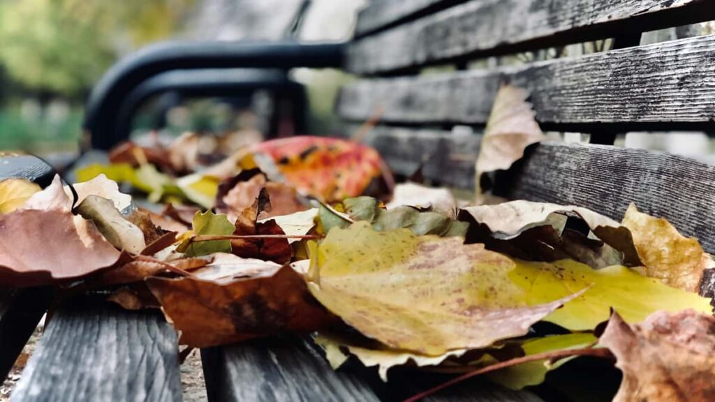 Practical guide for Nigerian advertisers to find Bulgaria Moj creators and run creator-led sustainability campaignslocal tips, platform playbook, outreach templates.