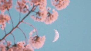 Practical guide for Nigerian creators on pitching Denmark brands on Lazada for productivity-guide collabs; steps, outreach scripts, and platform tips.