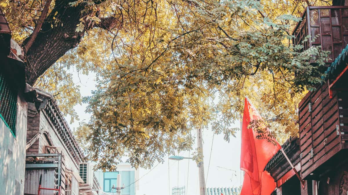 Nigerian creators: Reach Lithuania brands on Threads — fast guide