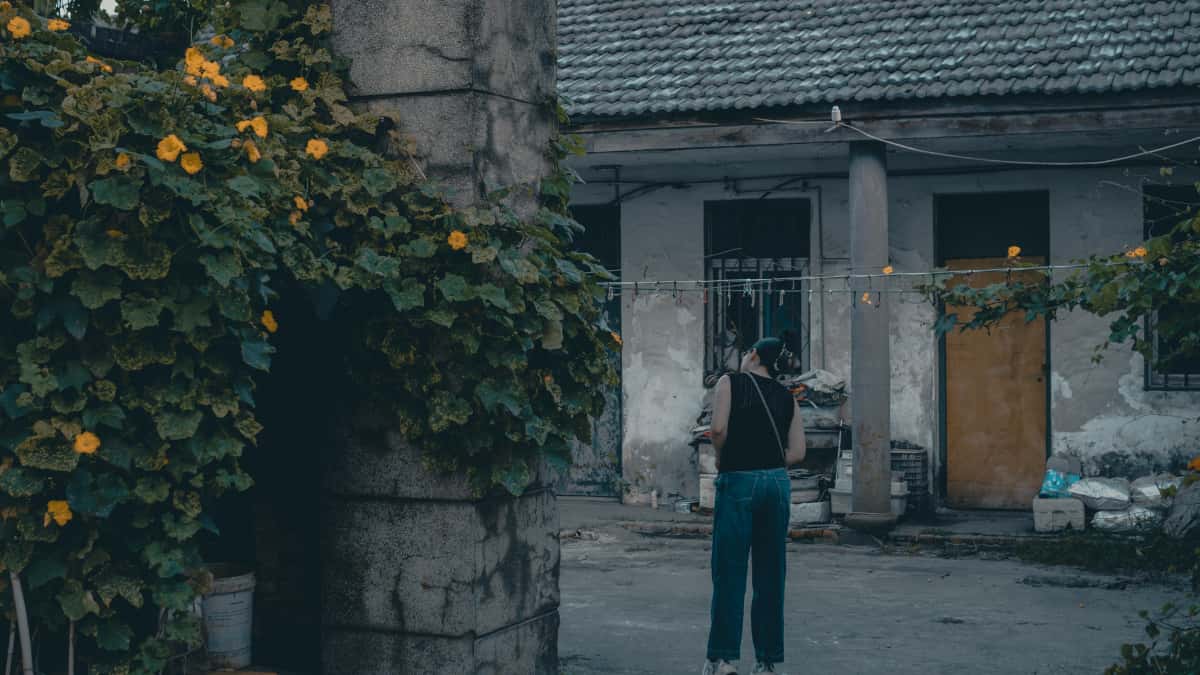 Creators: How to land Uzbekistan brands on Lazada (long-term wins)