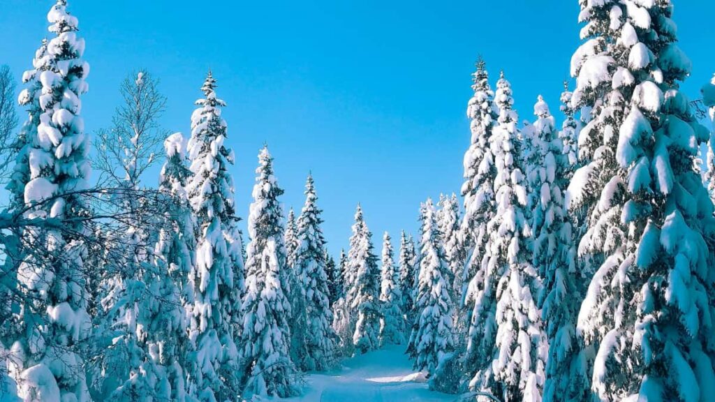 Practical guide for Nigerian advertisers to find Australia-based vkontakte creators and build engagement-first campaigns with local tips and workflows.